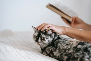 tecnicas para relajarse para dormir 1 técnicas para relajarse para dormir