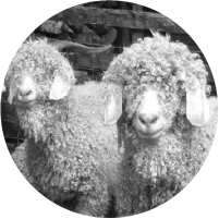 descanso natural mohair