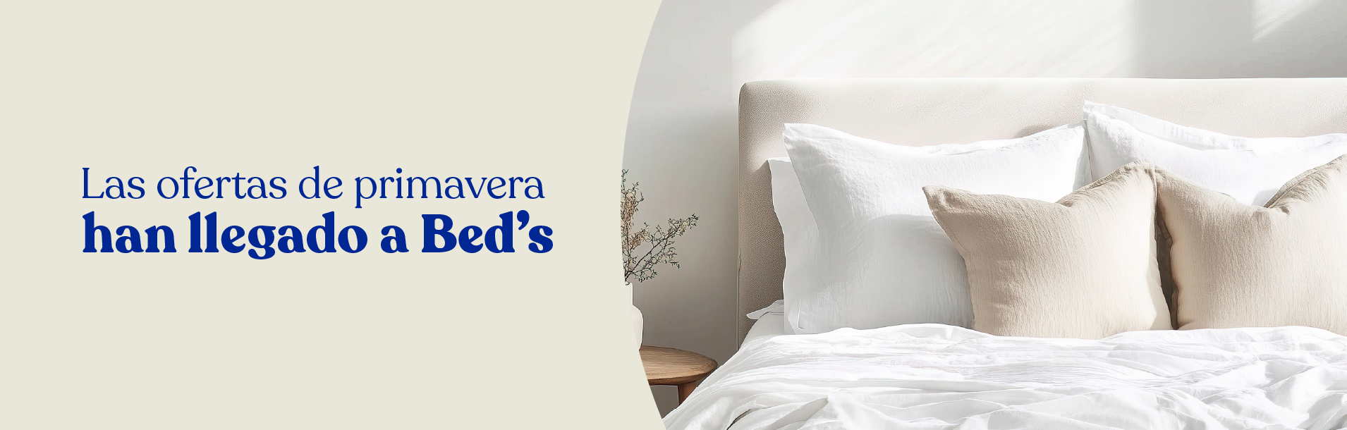 Ofertas especiales en Complementos